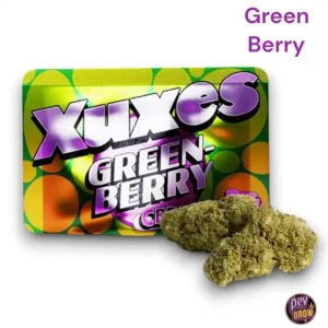 XUXES CBD BUDS 3 GR BEEREN