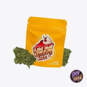 FLEURS DE 2 GORILLA GRILLZ