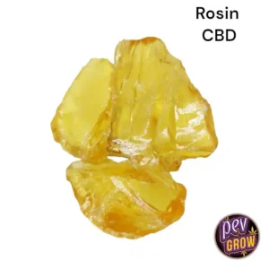 Cire de colophane CBD 2